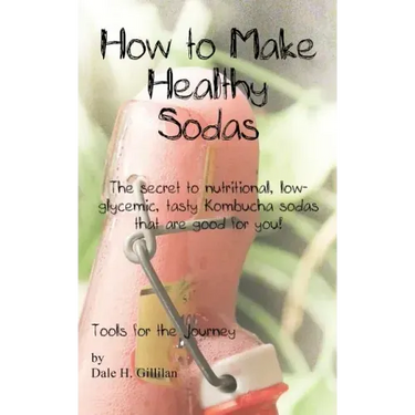 How to Make Healthy Sodas: The secret to nutritional, low-glycemic, tasty Kombucha sodas that are good for you!