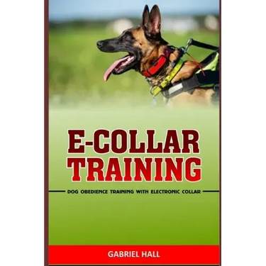 E-Collar Training: Dog Obedience Training With Electronic Collar