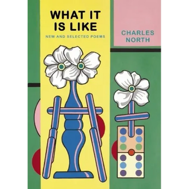 What It Is Like: New and Selected Poems