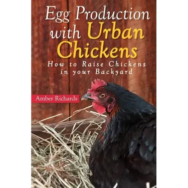 Egg Production with Urban Chickens: How to Raise Chickens in Your Backyard