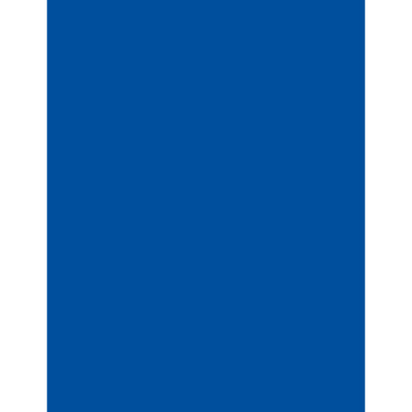 Shalom - Book 3: A Comprehensive Course in Modern Hebrew