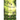 The Secret Sanctuary