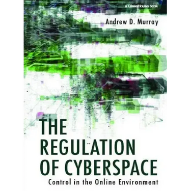The Regulation of Cyberspace: Control in the Online Environment