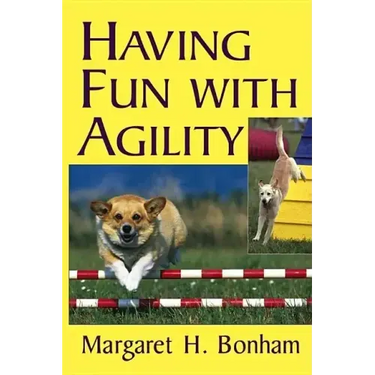 Having Fun with Agility