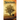 Sentinel: City of Destiny