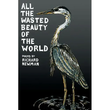 All the Wasted Beauty of the World - Poems