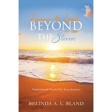 Learn to Look Beyond The Storm