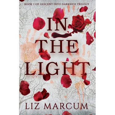 In The Light: Book 1 Descent Into Darkness