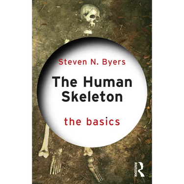 The Human Skeleton: The Basics