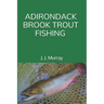 Adirondack Brook Trout Fishing