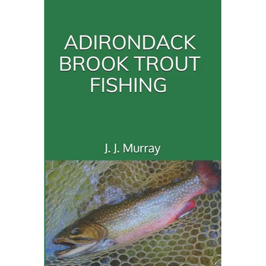 Adirondack Brook Trout Fishing