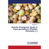 Genetic Divergence Study in Cape gooseberry (Physalis Peruvians L.)