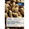 Groundnut Response to Moisture Conservation and Sulphur Nutrition