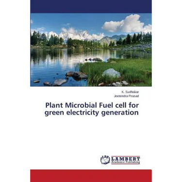 Plant Microbial Fuel Cell for Green Electricity Generation