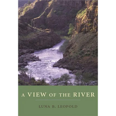 A View of the River