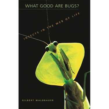 What Good Are Bugs?: Insects in the Web of Life