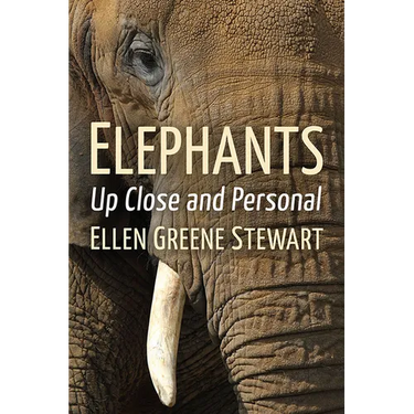 Elephants: Up Close and Personal