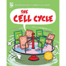The Cell Cycle