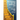 The Degrees of the Spiritual Life, Volume One: A Method of Directing Souls according to their Progress in Virtue