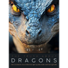 The Truth About Dragons: The Ultimate Illustrated Art Guide for Fantasy Lovers