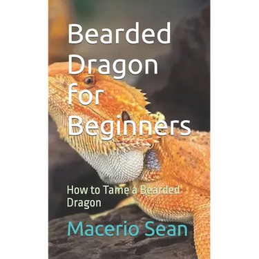 Bearded Dragon for Beginners: How to Tame a Bearded Dragon