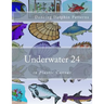 Underwater 24: in Plastic Canvas