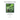 Plants of Significance to Bees