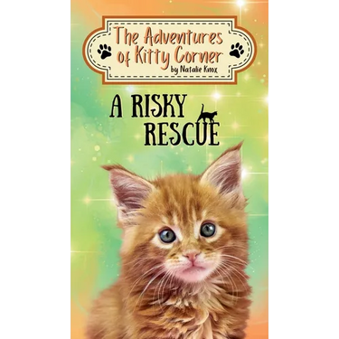 A Risky Rescue: The Adventures of Kitty Corner Book 1