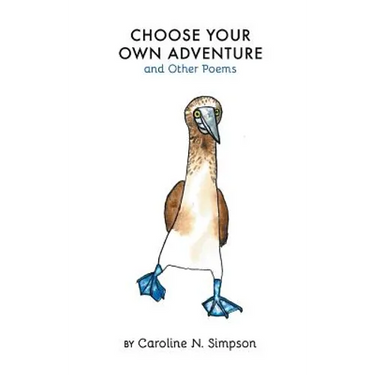 Choose Your Own Adventure and Other Poems
