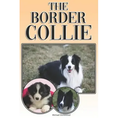 The Border Collie: A Complete and Comprehensive Owners Guide To: Buying, Owning, Health, Grooming, Training, Obedience, Understanding and