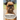 Brussels Griffon: Everything You Need to Know About Brussels Griffon: Brussels Griffon Dog Breed Pictures