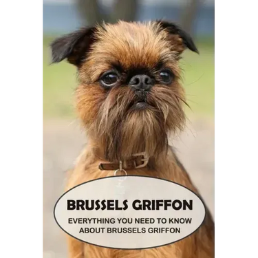 Brussels Griffon: Everything You Need to Know About Brussels Griffon: Brussels Griffon Dog Breed Pictures