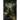 The Horror that Represents You