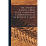 The Fossils of Illinois, a Brief Guide to the More Common Fossils in the Rocks of Illinois; 11