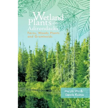 Wetland Plants of the Adirondacks: Ferns, Woody Plants, and Graminoids