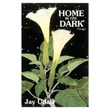 Home in the Dark: Poems