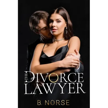 The Divorce Lawyer