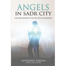 Angels in Sadr City: A Soldier's Memoir of the Final Battle for Baghdad