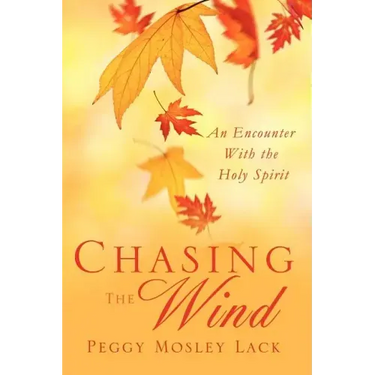 Chasing The Wind