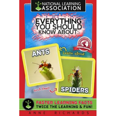 Everything You Should Know About: Ants and Spiders