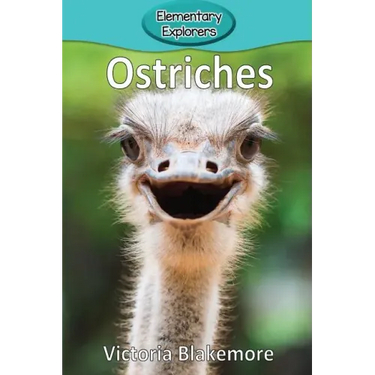 Ostriches