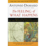 The Feeling of What Happens: Body and Emotion in the Making of Consciousness
