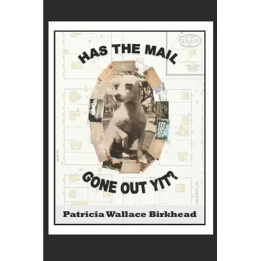 Has the Mail Gone Out Yit?: Tales of a Rural Mail Carrier