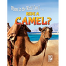 Ride a Camel?