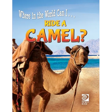Ride a Camel?