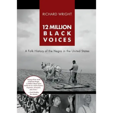 12 Million Black Voices