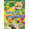 Baby Fox or Baby Wolf?