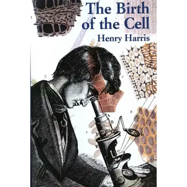 The Birth of the Cell