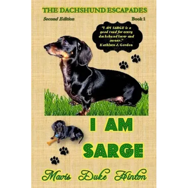 I Am Sarge