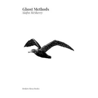 Ghost Methods